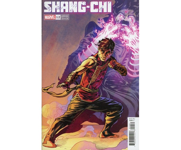 Shang-Chi Vol 2 #12 Cover D Variant Stephen Mooney Cover